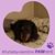 Connie Hay's profile image