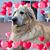 Janet OSullivan's profile image