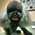 Bailey Preefer's profile image