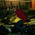Wilbert Genao's profile image
