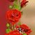 Linda Webster's profile image