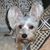 Robbye DeFrancesco's profile image
