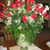 Sandra Rothenberger's profile image