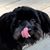 Ghan Smith's profile image