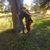 Boyd Sumpter's profile image