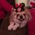 Carolyn Gordon Gazowski's profile image