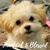 Gina Reasoner's profile image
