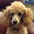 Melinda Mason Haffner's profile image