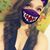 Shelby Sands's profile image