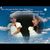 Dawn Peters's profile image