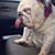 Joseph Milia's profile image