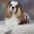 Cheryl Tinsley Hood's profile image