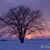 Vicky Calhoun Stone's profile image