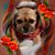 Joycene Hayat's profile image
