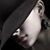 Ynnês Stream's profile image