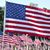 Daniel D. Hendrickson's profile image