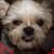 Susan Richardson's profile image