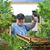 Dave Trader's profile image