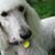 Jolene Hinzman's profile image