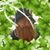 Raven Long's profile image