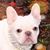 Pamela Irene Slocum's profile image
