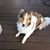 Cindy Rueger Wicks's profile image
