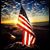 Michele Woodland Borovich's profile image