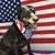 David Cox's profile image