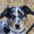 Beryl Billingsley's profile image