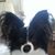 Teena Marie Faris's profile image