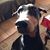 Carolyn Rogers's profile image