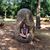 Charlotte Kingswood's profile image