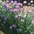 Tina Valle Sundstedt's profile image
