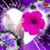Marbella D Ortiz's profile image