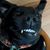 Erika DiGregorio Charlton's profile image