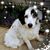 Cathy Follett's profile image