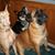 Kathy Glew's profile image