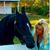 Sandy Hall's profile image
