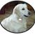 Karen Osborn's profile image