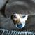 Catherine Bushick's profile image