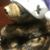 Julia Rose's profile image
