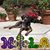 Elizabeth Robert's profile image