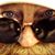 Bil Baldwin's profile image