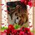 Melissa Fath's profile image