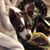 Carol Harvey's profile image