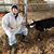 Andy Morren's profile image