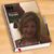 Onelia Rolffot Martin's profile image
