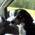 Larry Pate's profile image