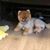 Lynda Mangrum's profile image