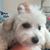 Barbara Werner's profile image